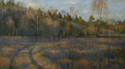 roadthroughhendersonwetlands