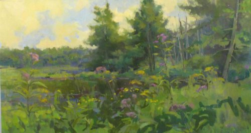 Wildflowers, Bass Lake