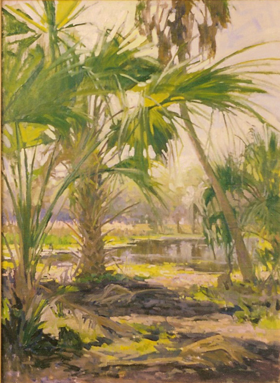 Backlit Palms