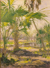 backlitpalms