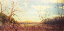 eveninghendersonwetlands
