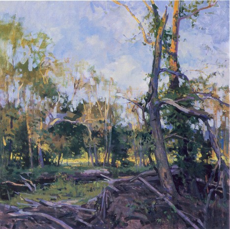 Flood Plain in Early Summer