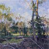 floodplaininearlysummer