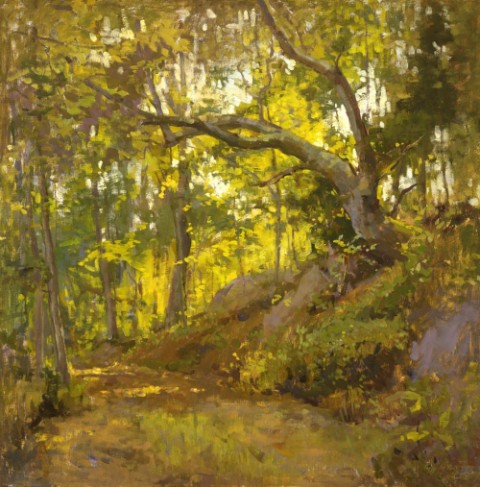 Late Summer