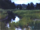 marshesconnecticut