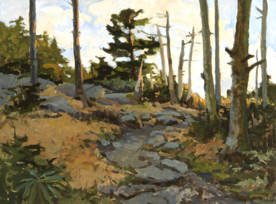 Roan High Knob