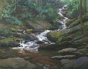 roaringforkfalls