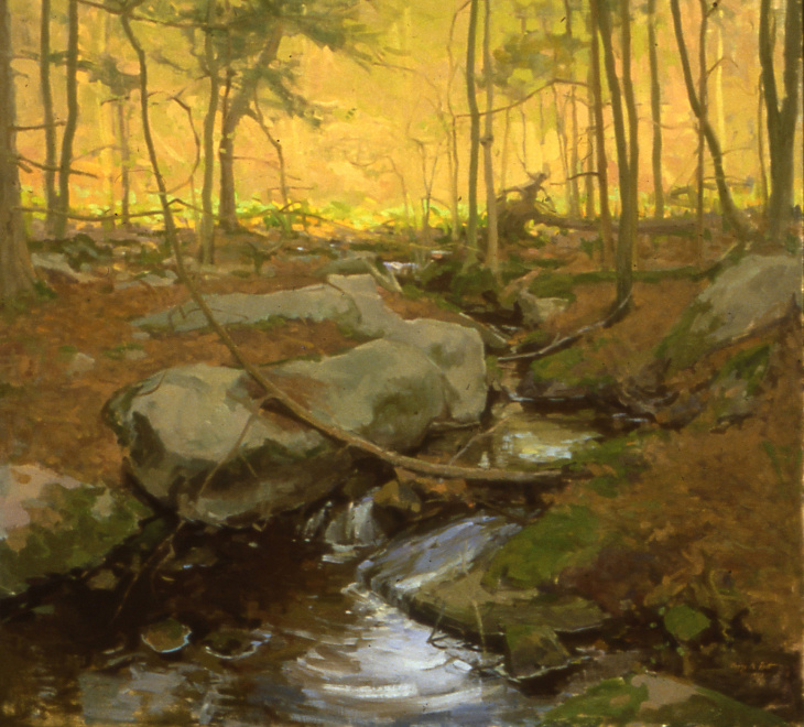 Woodland Creek