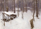 woodpile